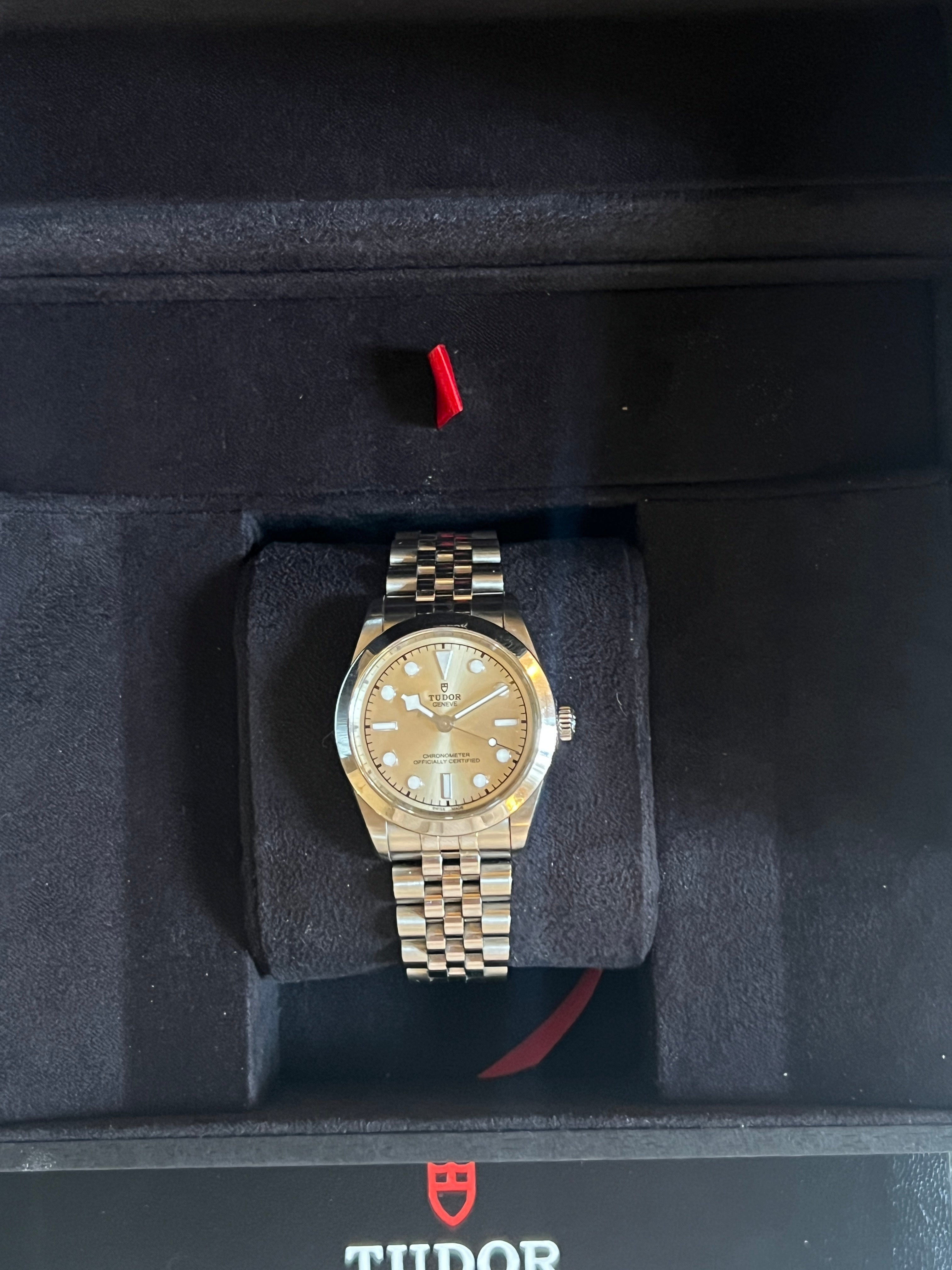 Tudor - Montre black bay One 31